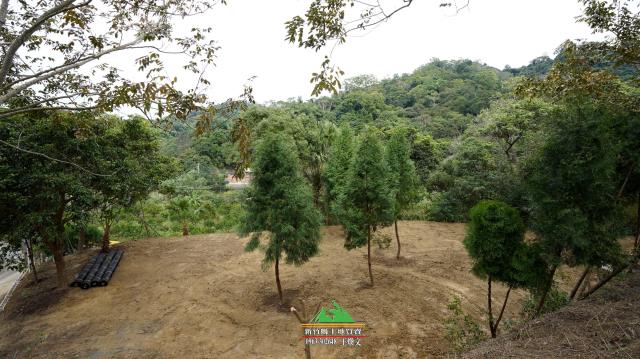 新竹北埔農地-4