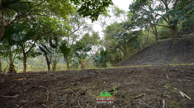 新竹北埔農地-6