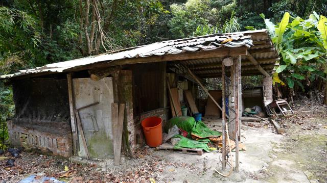 新竹峨眉農地-5