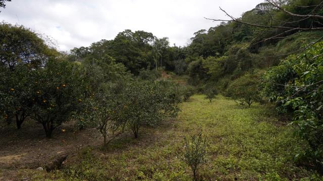 新竹峨眉農地-8