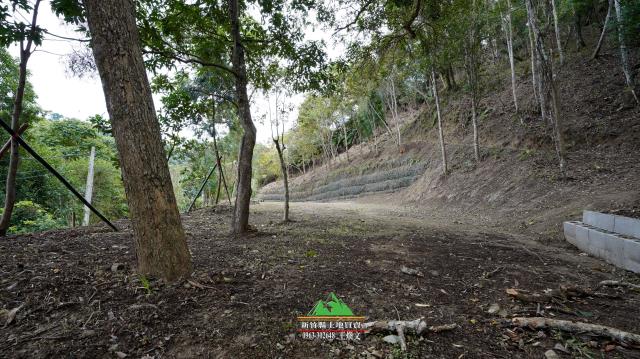 新竹北埔農地-9