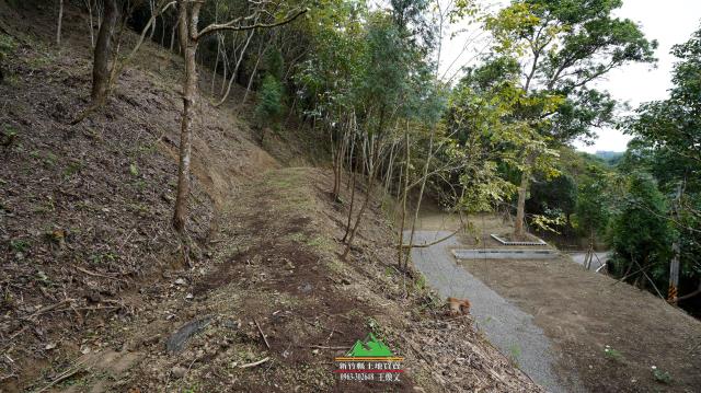 新竹北埔農地-12