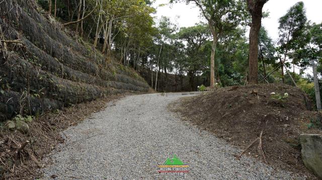 新竹北埔農地-14