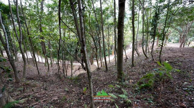 新竹北埔農地-1