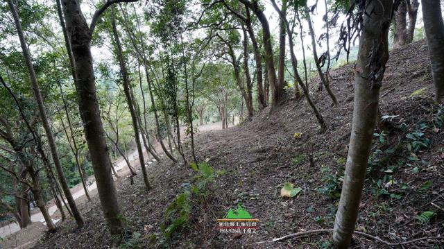 新竹北埔農地-2