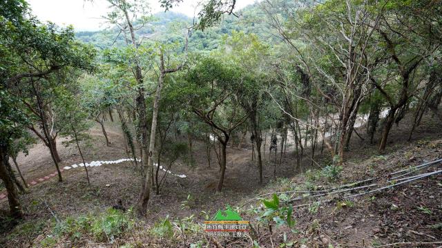 新竹北埔農地-4