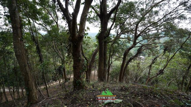 新竹北埔農地-5