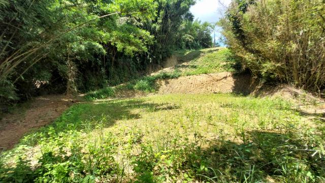 新竹農地-4