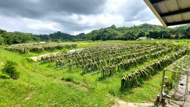 峨眉農地-0