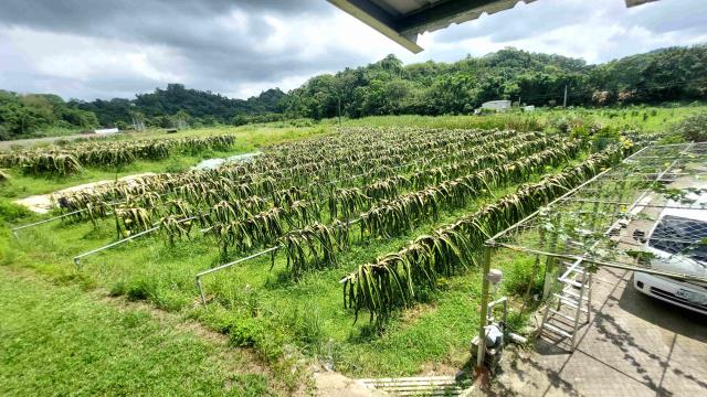 峨眉農地-4