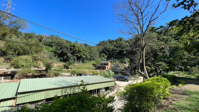 寶山林地-11