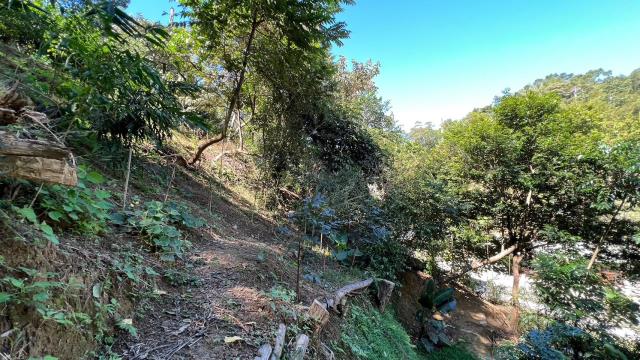 寶山林地-12