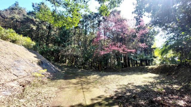 橫山農地-2