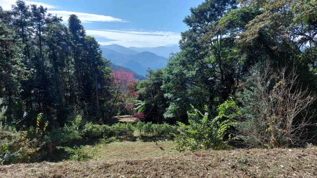 橫山農地-5