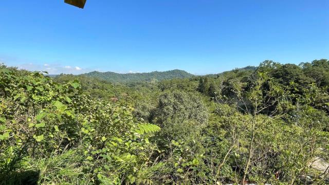 新竹關西山坡地-6