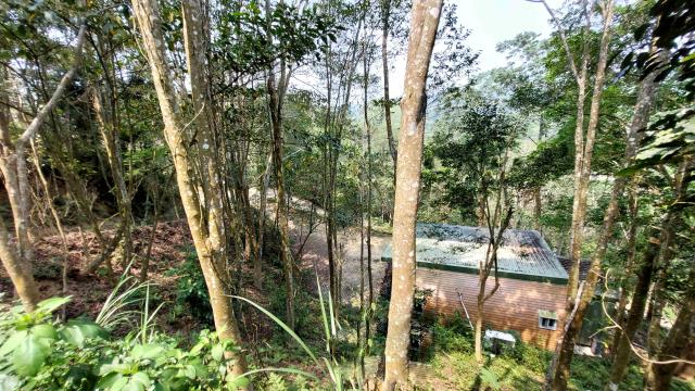 新竹北埔林地-11