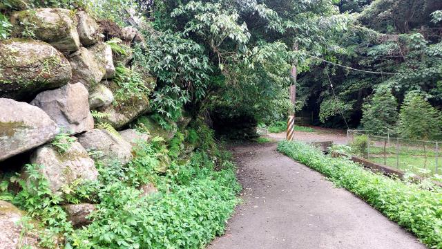 新竹橫山農地-14