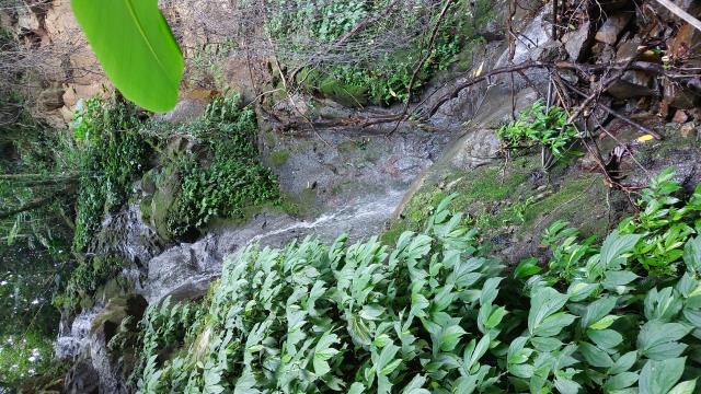 竹東休閒地-10