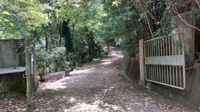 竹東休閒地-1