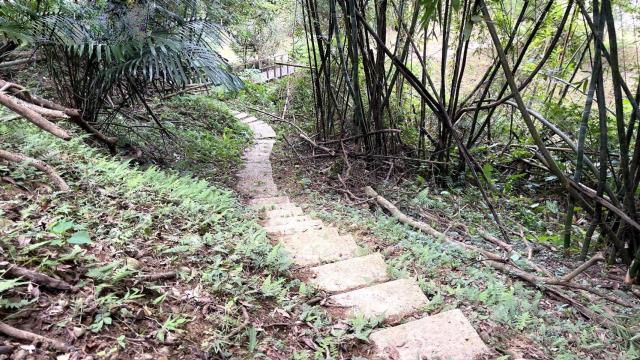 新竹關西林地-12