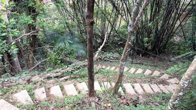 新竹關西林地-13