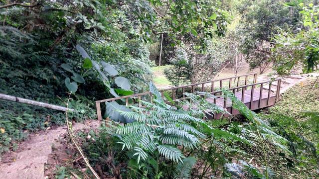 新竹關西林地-5