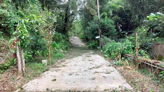 新竹峨眉農地-10