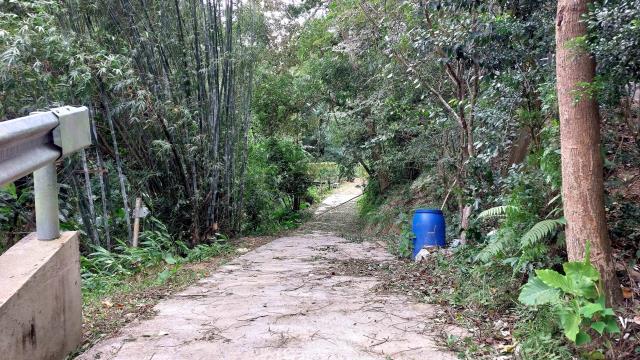 新竹峨眉農地-2
