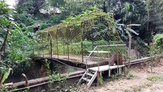 新竹峨眉農地-5