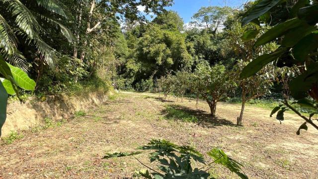 新竹峨眉農地-5