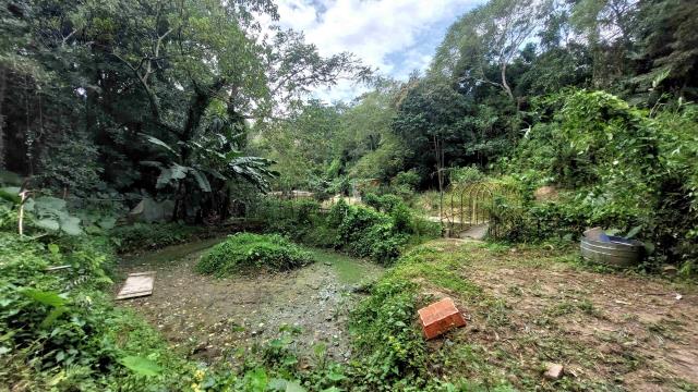 新竹峨眉農地-6