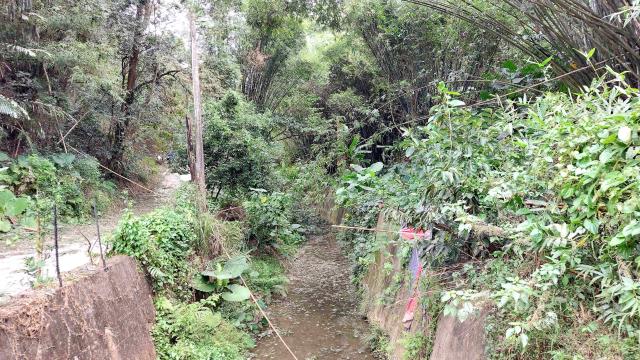 新竹峨眉農地-7