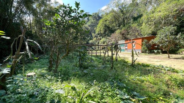 新竹峨眉農地-8