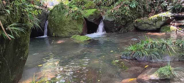 新竹農地-11