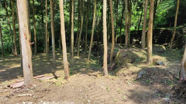 新竹農地-4
