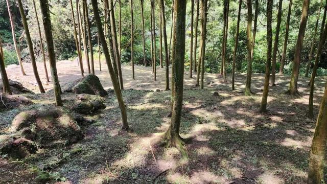 新竹農地-5