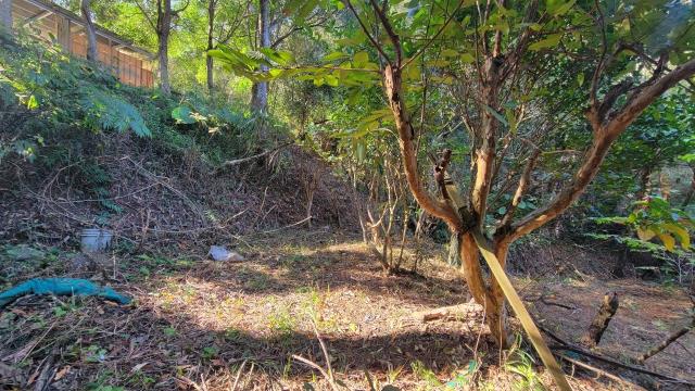 北埔農地-1