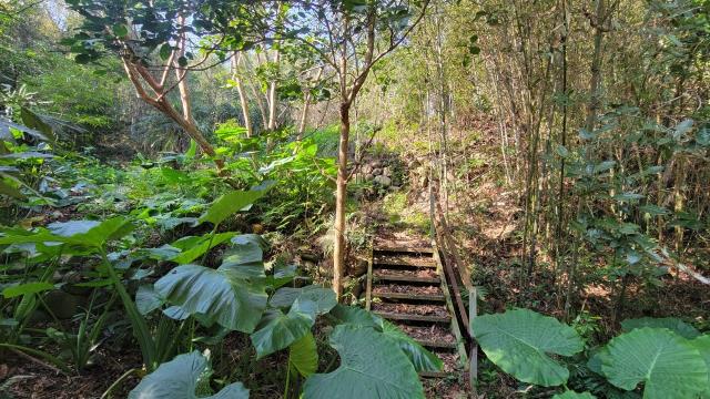 北埔農地-2