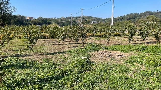 新竹峨眉農地-12