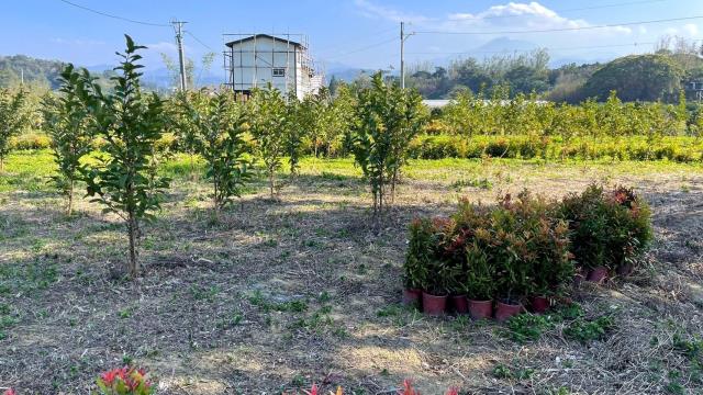 新竹峨眉農地-5