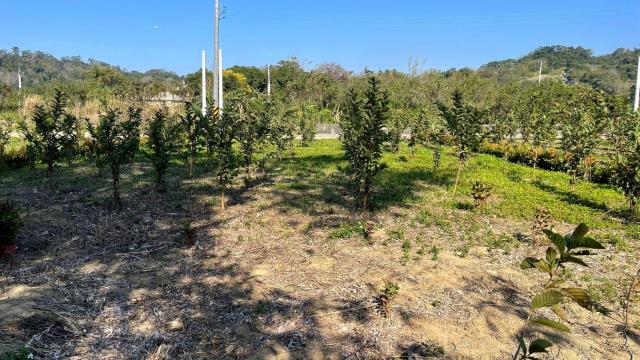 新竹峨眉農地-6