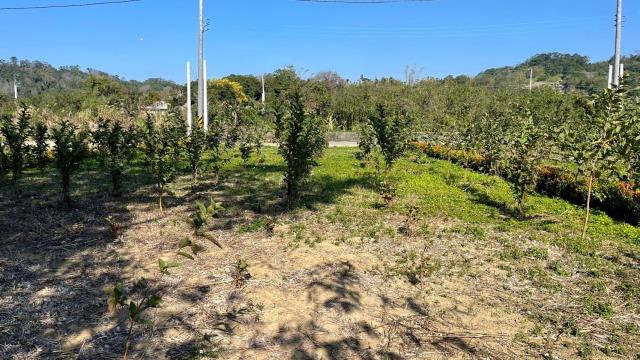 新竹峨眉農地-7