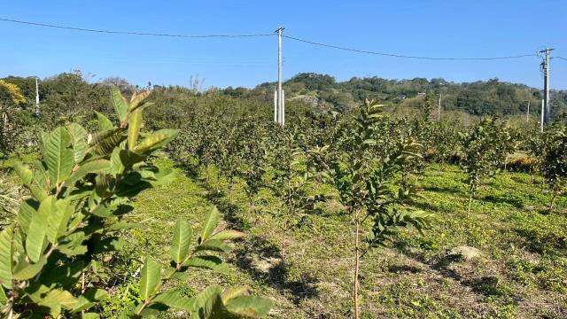 新竹峨眉農地-8