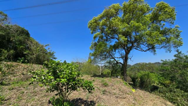 新竹北埔農地-1