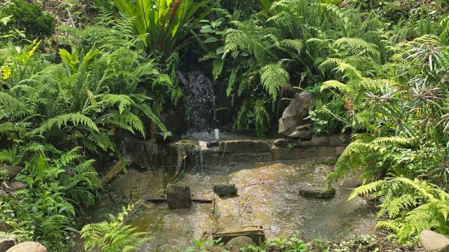 新竹農地-14