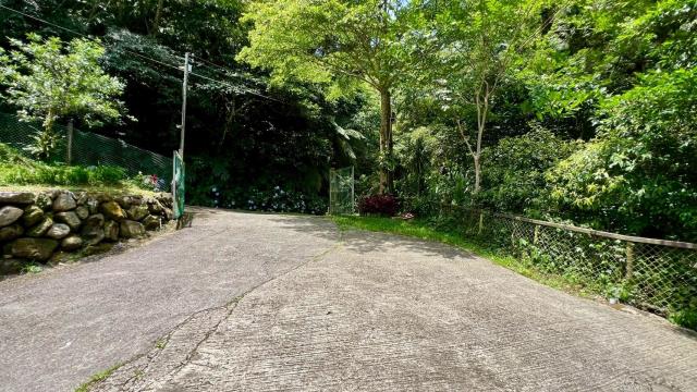 橫山林地-9