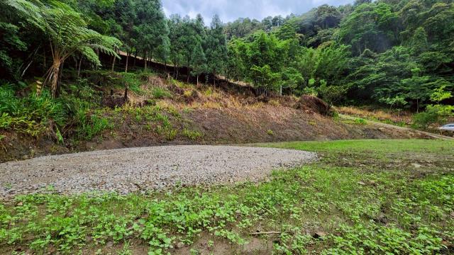 竹東農地-10