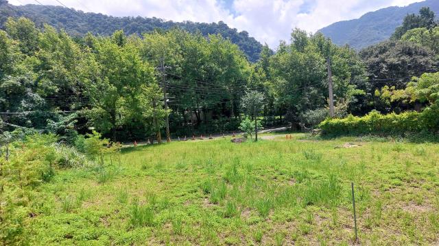 橫山農地-9