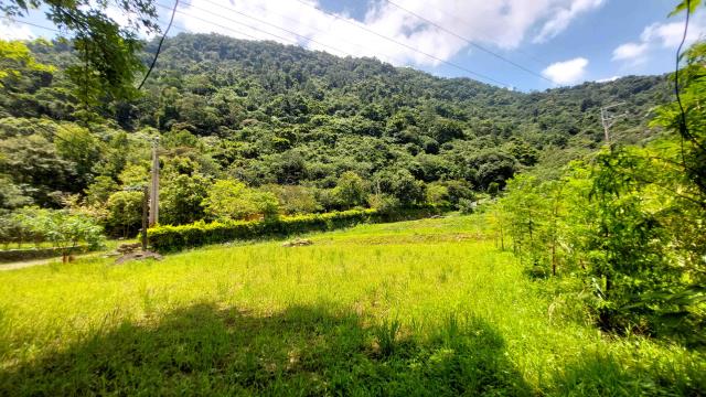 橫山農地-13