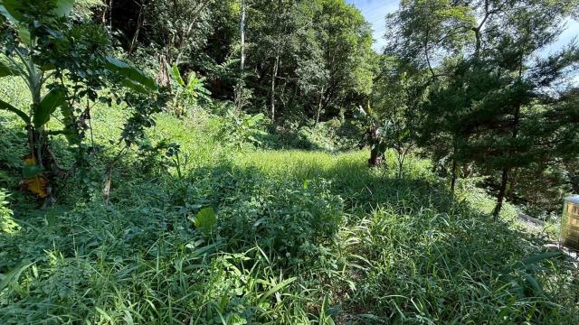 新竹關西農地-10